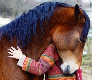 An image of a little girl hugging a horse. This image illustrates what a session of equine therapy in Powhatan, VA could look like. Learn more about therapy with horses with an equine therapist here. | 23222 | 23223 | 23225