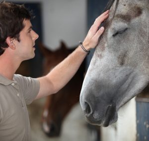 An image of a man petting a horse through horse therapy representing equine therapy/equine assisted psychotherapy in Powhatan, VA. | 23229 | 23221 | 23225