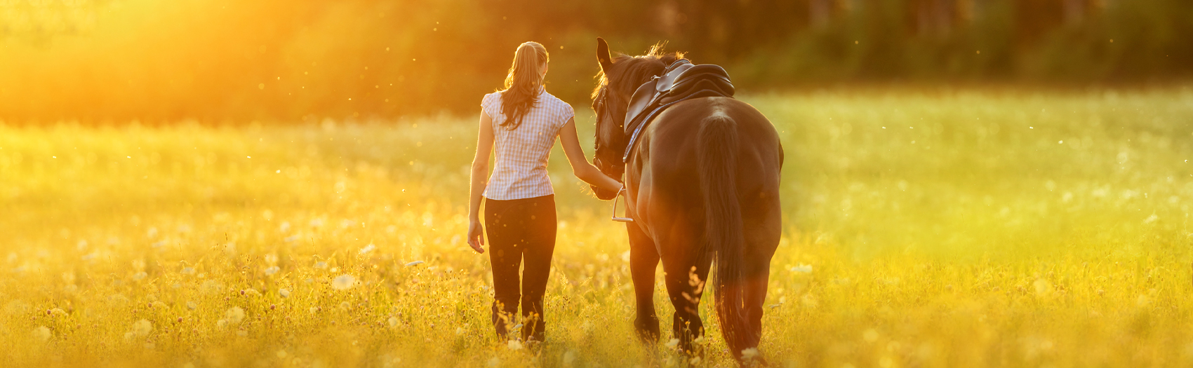 An image of a woman walking with a horse. This image represents a session of equine therapy with an equine therapist in Powhatan, VA. Learn about the benefits of therapy with horses here. | 23229 | 23221 | 23225