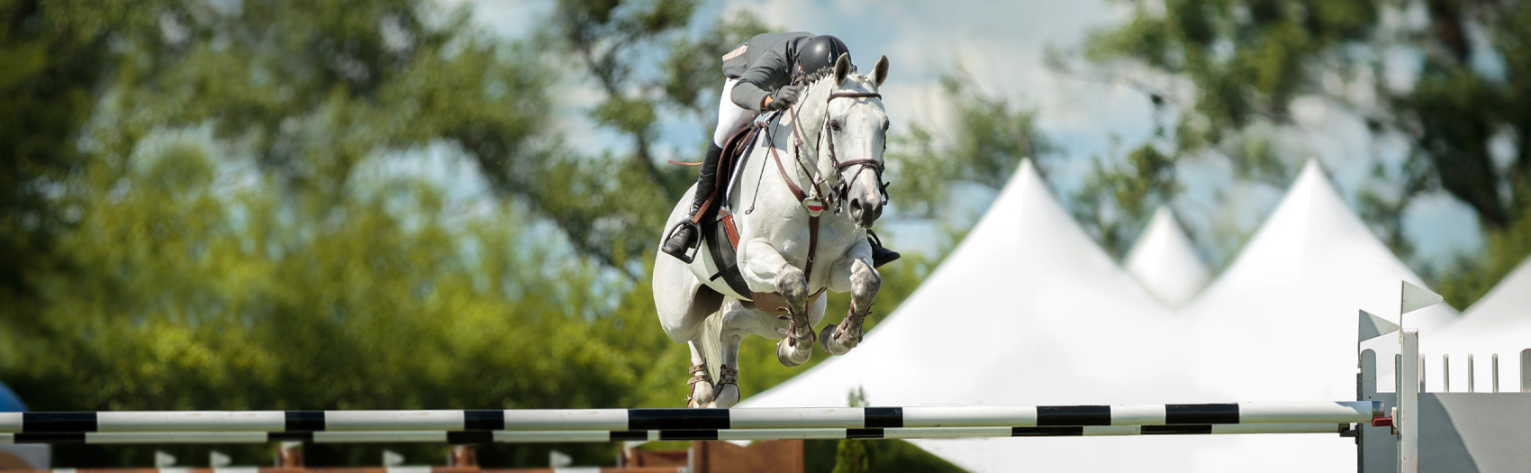 A rider jumps over an obstacle with their horse. This could represent overcoming riding anxiety with equine sports therapy in Powhata, VA. Learn more about equine sports therapy in Richmond, VA or equestrian therapy in Powhatan, VA by contacting an equine sports therapist today. 