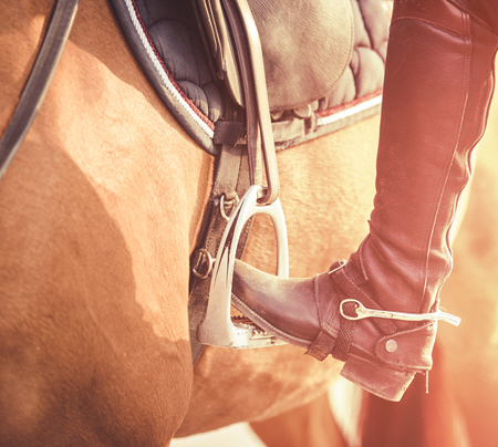 A close up of a rider preparing to mount their horse. Equine sports therapy in Powhatan, VA can offer riders support. Learn more about equine sports therapy in Richmond, VA by contacting n equine sports therapist in Powhatan, VA today.