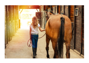 An equestrian leads her horse by the reigns out of the barn. Learn how a depression and anxiety therapist in Richmond, VA can help you find better performance as an equestrian. Search for depression treatment in Powhatan, VA 