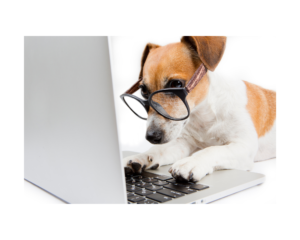 Dog looking at a computer. This image illustrates how easy online therapy in Virginia is. Work with an online therapist in Virginia from the comfort of home in Richmond, VA today. | 23226 | 23113 | 23223