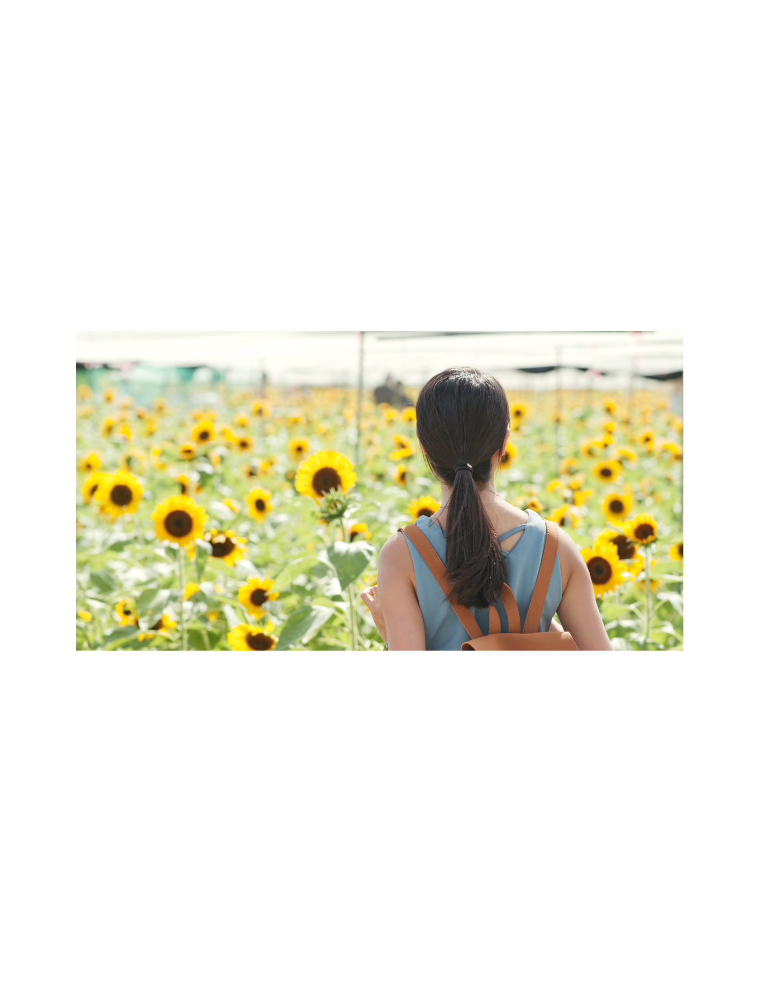 Image of person in a sunflower field. This image may depict someone who has recently been to therapy for self esteem in Virginia. Get started online or in person with a self esteem therapist in Virginia! 