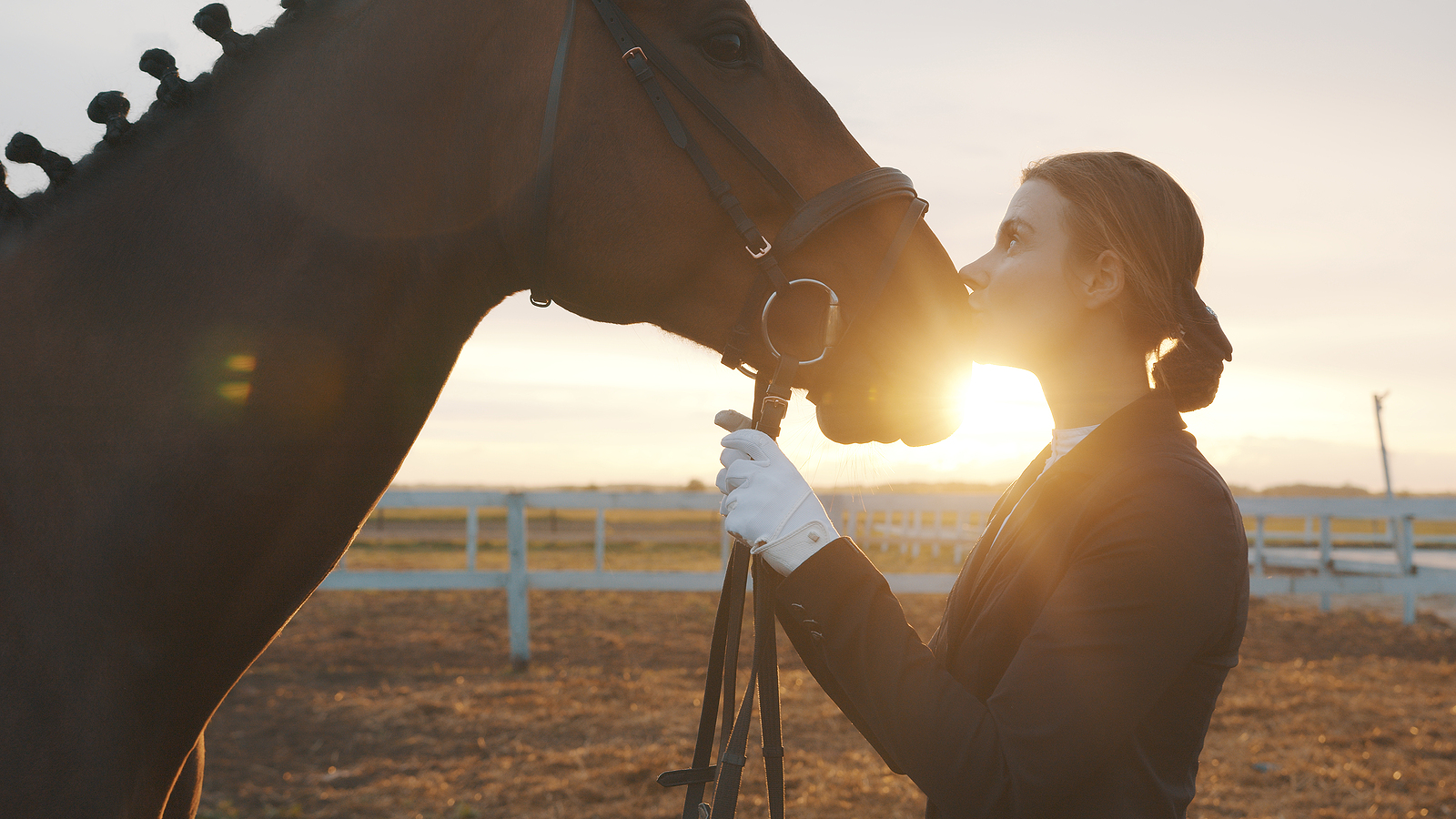 Image of a rider with a horse. This image could depict someone who is needing therapy after a divorce in Virginia. Get started with grief counseling in Virginia today. 22974 | 22902 | 22947