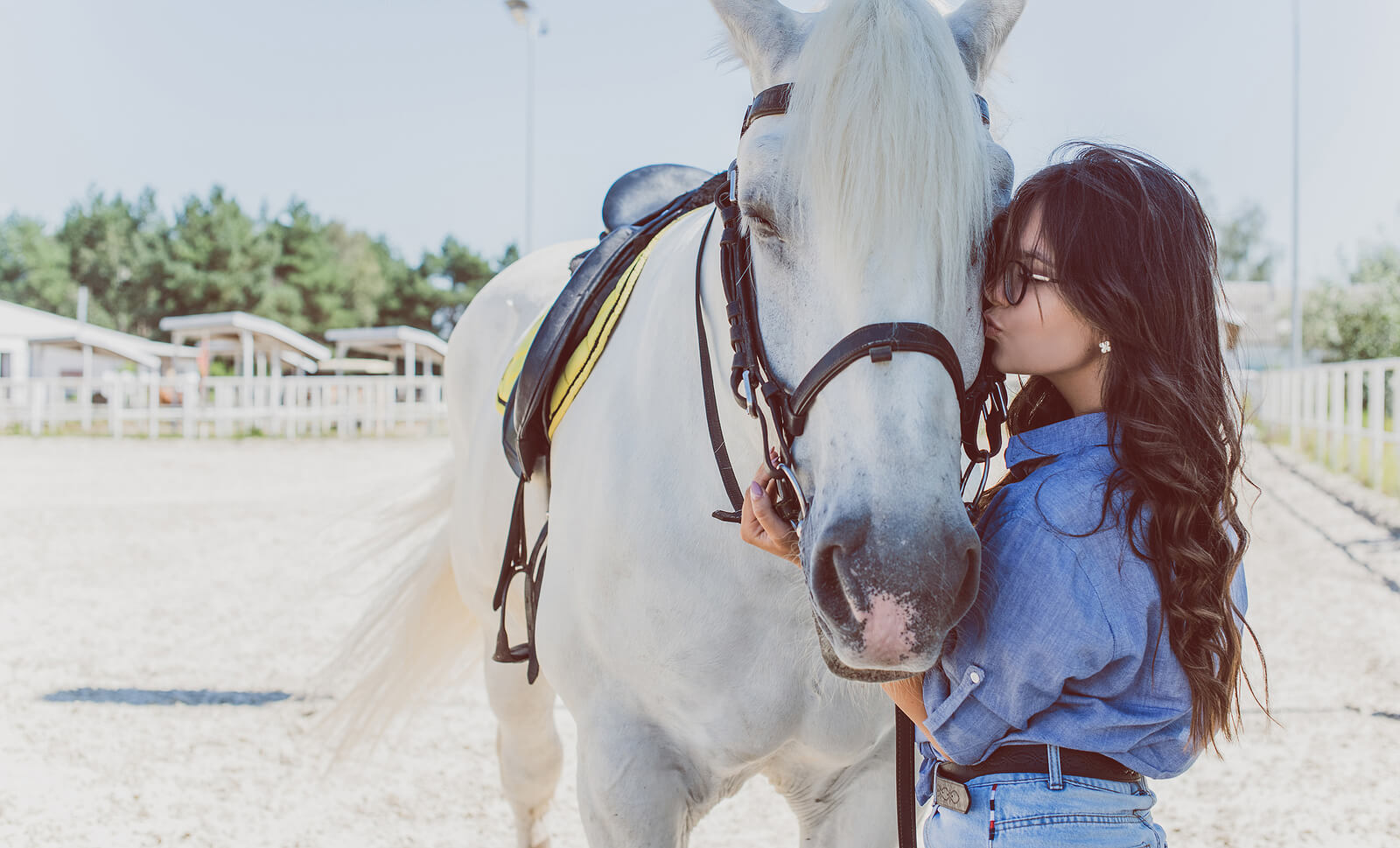 Woman nuzzling her horse representing the need for emotional support and understanding. EMDR Intensives can offer this support and help you begin the journey to healing. Read on to learn more.