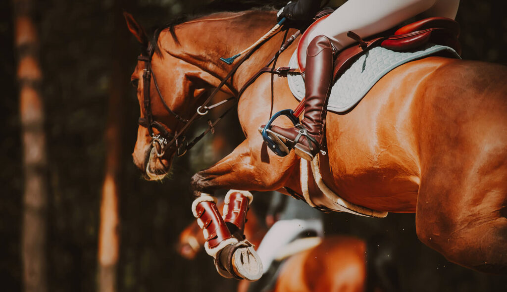 A close-up of a horse jumping over an obstacle. Learn how equine therapy in Virginia can help you create healthy habits with the support of an equine therapist in Virginia. Equine-assisted therapy in Powhatan, VA can offer support today!