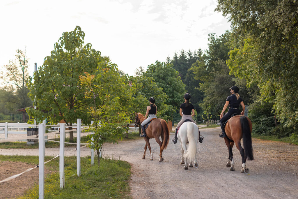 Three people ride together on horseback along a trail. This could represent the support offered by working with an equine therapist in Virginia. Learn more about equine sports therapy in Richmond, VA and other services today. 