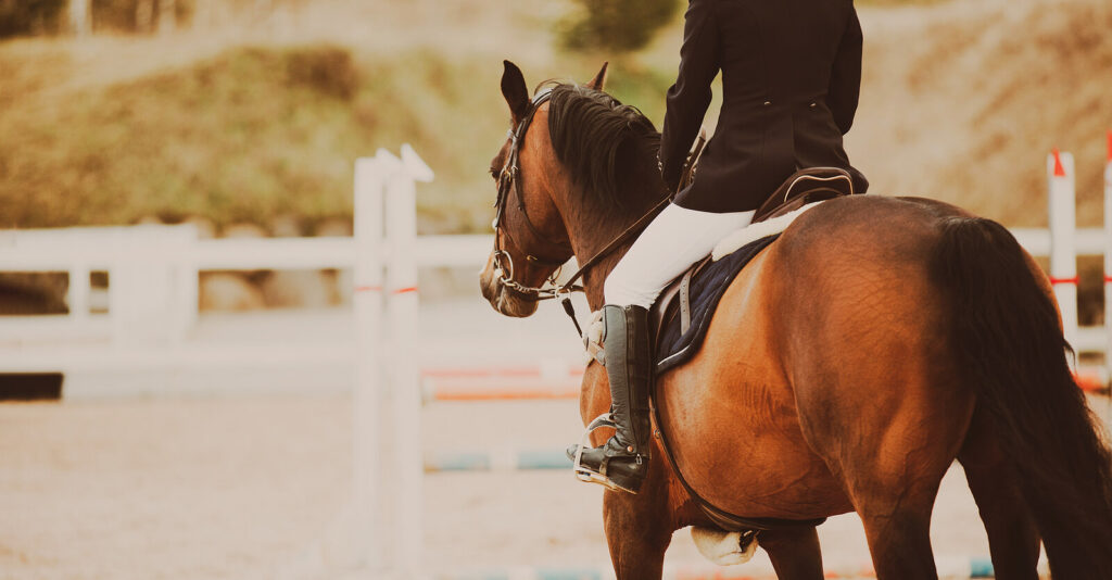 A close up of a horse with its rider in a training pin. Learn how equine assisted therapy in Richmond, VA can offer support by contacting an equine therapist in Virginia. Search for equine sports therapy in Virginia to learn more today. 