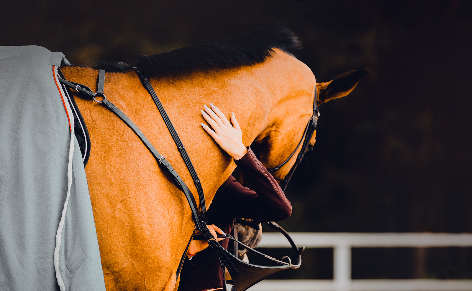 A close up of a person petting their horse. Learn more about the support equine therapy in Powhatan, VA can offer by searching for an anxiety therapist in Richmond, VA. An equine therapist in Virginia can help by searching for equine therapy in Virginia.