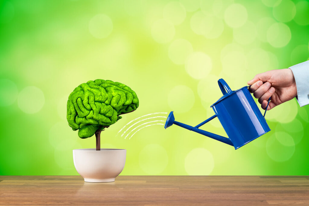 A close up of a person watering a plant in the shape of a brain. Learn how online therapy in Virginia can offer support by contacting an anxiety therapist in Richmond, VA. learn how equine assisted therapy in Richmond, VA can offer support today. 