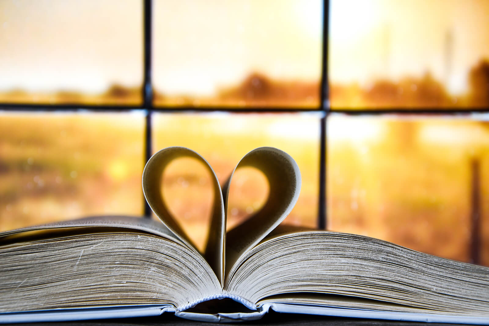 A close-up of book pages folded in the shape of a heart. Learn how an equine therapist in Virginia can offer support this Valentine’s Day by searching for therapy for self-esteem in Virginia. Search for depression treatment in Powhatan, VA.