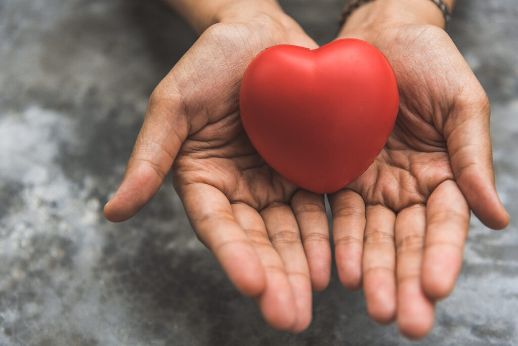 A close up of a person holding a heart in their hands. This could represent the support an equine therapist in Virginia can offer in addressing isolation and connection. Search for therapy for self-esteem in Virginia and other services today. 