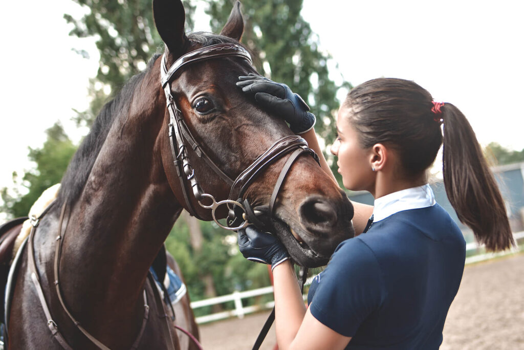 An equestrian pets their horse while in a training pen. Learn how an equine sports therapist in Richmond, VA can offer support with overcoming perfectionism. Search for therapy with horses in VA or horse therapy in VA today for more info. 