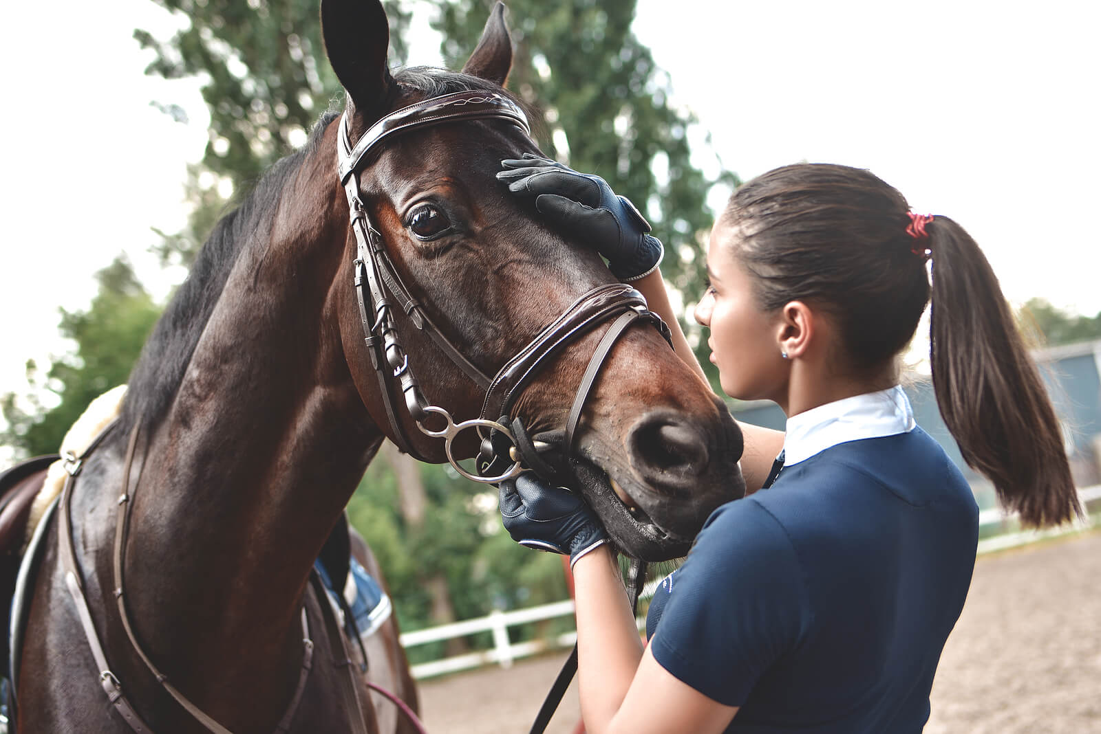 A silhouette of a girl holding a lead rope faces her horse against a sunset. Can the bond between horses and riders be the key to overcoming perfectionism? Equine-assisted therapy in Richmond, VA, helps riders build confidence, resilience, and a healthier relationship.