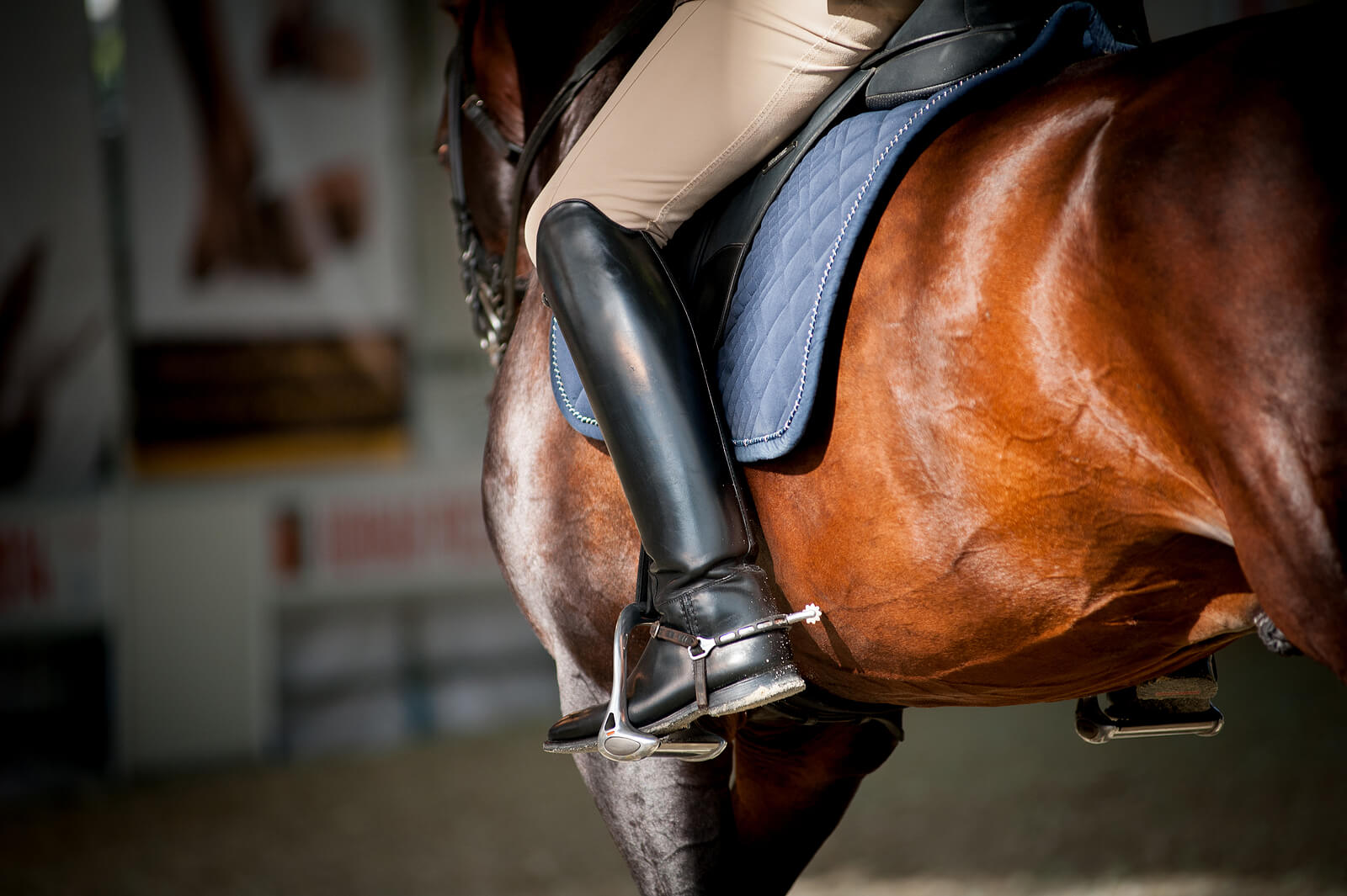 A close-up of a rider's black boot and spur in a stirrup against a chestnut horse. Are you chasing perfect rides at the cost of your confidence and love for horses? Equine-assisted therapy in Richmond, VA, helps riders release perfectionism and reconnect with why they ride.