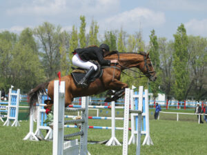 A horse and their rider jump over an obstacle during a horse show. Learn how trauma therapy in Richmond, VA can help you in addressing past pain and maximize sports performance. Search for an EMDR therapist in Powhatan, VA to learn more about therapy for trauma in Richmond, VA and other services. 