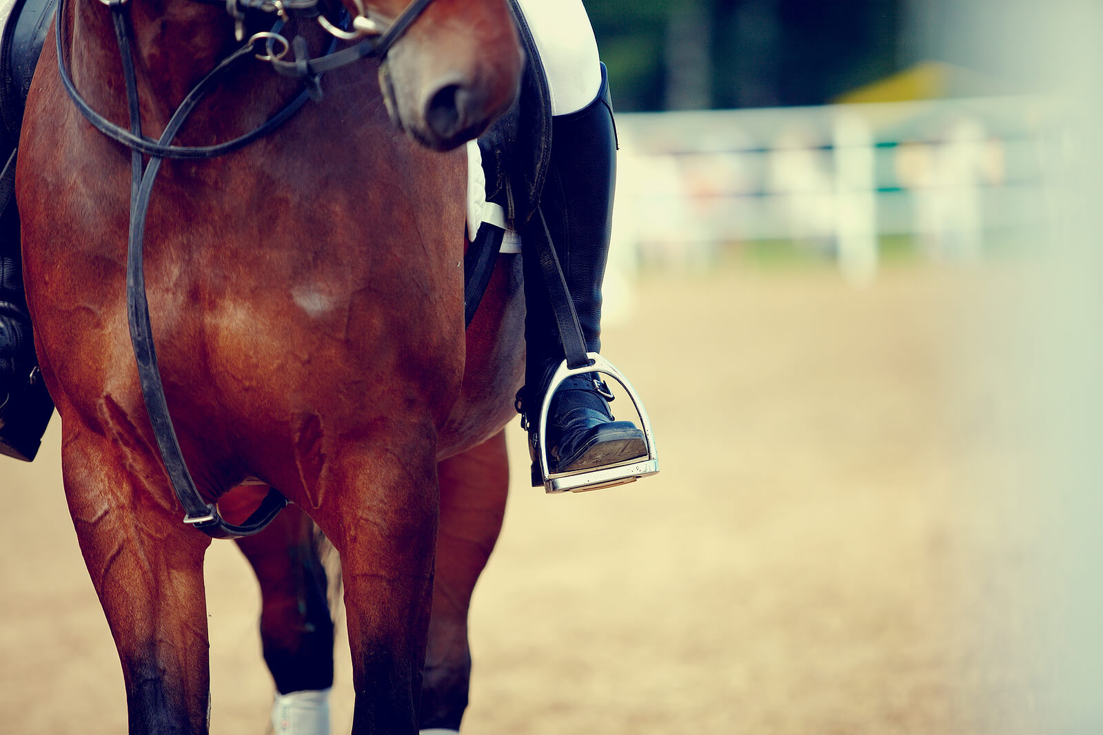 A close up of a horse and their rider's foot in a stirrup. Learn how an equestrian therapist in Powhatan, VA can offer support with horse shows and more by searching for horse therapy in VA. Search for equine assisted therapy in Richmond, VA today.