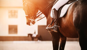 A close up of an equestrian on the back of their horse. Search for an equine therapist in Virginia for support with cultivating strong self esteem for athletic performance. Learn more about equine assisted therapy in Richmond, VA and how equestrian therapy in Powhatan, VA can help today. 