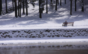 A person sits on a bench on the other side of a frozen lake in a snow covered field. This could represent the isolation during the holiday season that a depression therapist in Powhatan, VA can offer support with overcoming. Search for therapy for trauma in Richmond VA and other services today. 