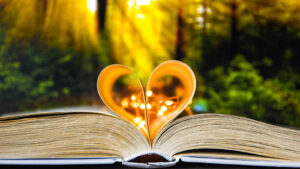 An open book with its pages folded into the shape of a heart, illuminated by warm fairy lights, with a blurred forest background. Learn how a narcissism therapist in Richmond, VA can help cultivate self love through therapy for children of narcissistic parents and more. Overcome past narcissism with narcissism therapy in Powhatan, VA and beyond. 