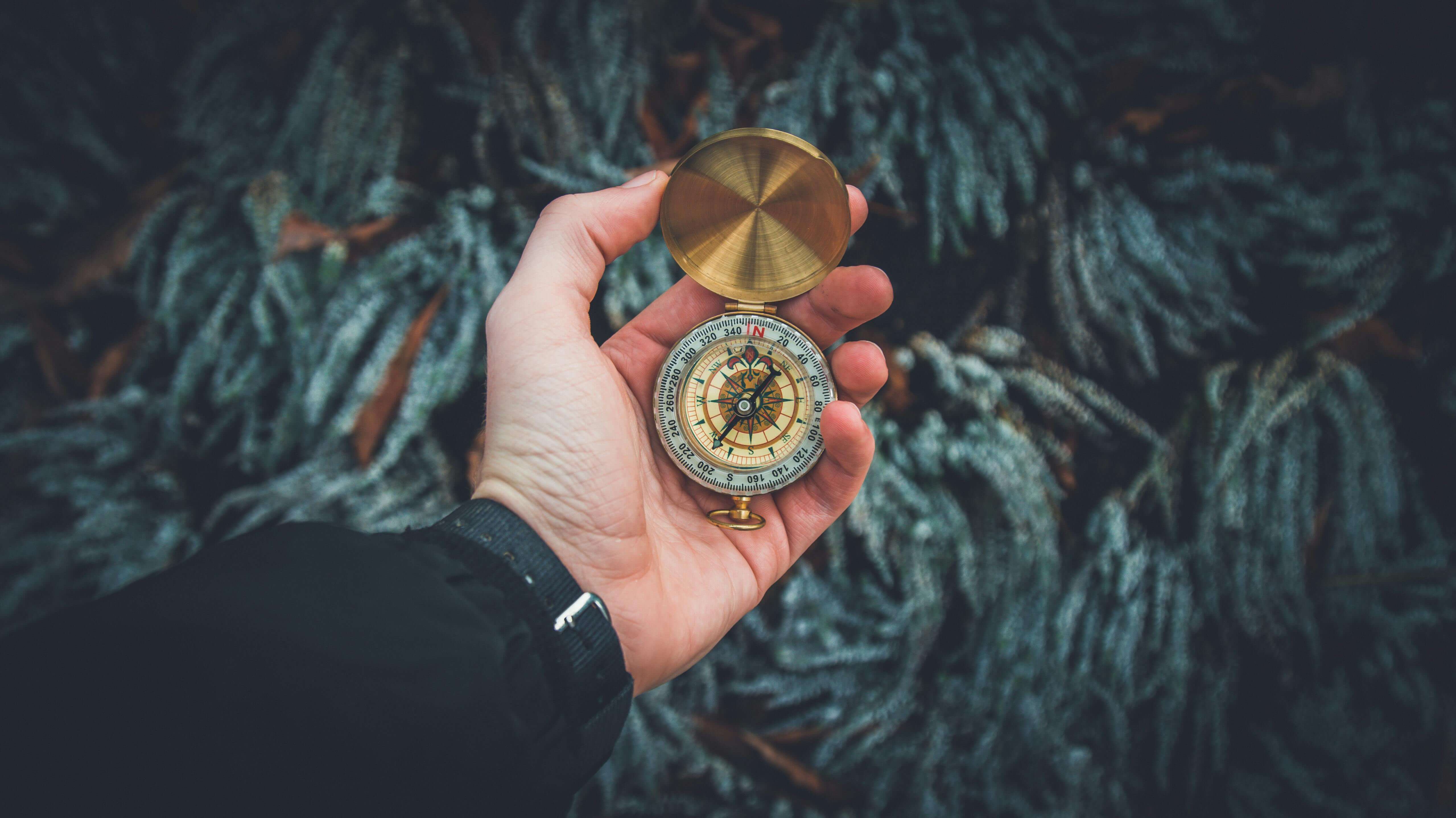 A close up of a hand holding a compass. A symbolic image representing guidance and healing through trauma therapy in Fredericksburg, VA, Richmond, VA, and New Kent, VA.