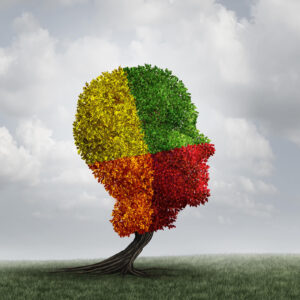 A tree shaped like a human head in four vibrant colors, symbolizing different personality traits explored in narcissism therapy in Richmond, VA, anxiety therapy in Powhatan, VA, and sessions with an anxiety therapist in Richmond, VA.