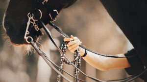 Close-up of a person holding a lead rope near a horse’s bridle, emphasizing trust, boundaries, and communication during equine assisted therapy in richmond, va. Ground-based activities like this are common in equine therapy in virginia, especially when building confidence and self-awareness. It also connects to work you might do with an equestrian therapist new kent va in structured, guided sessions. 