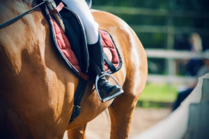 Close-up of a rider’s leg in a stirrup on a saddled horse, representing the performance and body-awareness side of equine sports therapy in virginia. This image still fits broader equine therapy in virginia when sessions include movement, confidence-building, or equestrian-based work. It can also reflect support from an equine therapist in virginia who integrates sport, nervous system regulation, and mindful connection. 