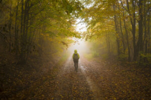 A person walking alone on a quiet forest trail toward soft light, symbolizing steady healing and continuity. Great for depression treatment in powhatan, va, finding a depression therapist in powhatan, va, or seeking depression treatment in richmond, va. 