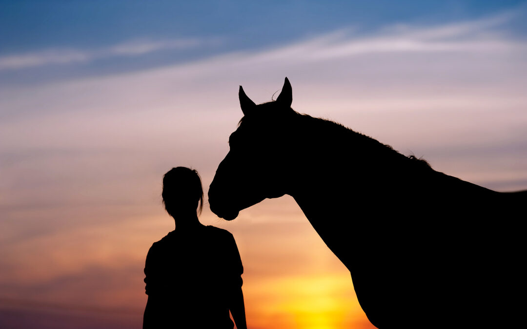 How Horses Sense Anxiety & Can Help Us Overcome It