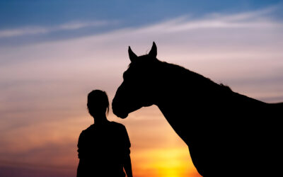 How Horses Sense Anxiety & Can Help Us Overcome It