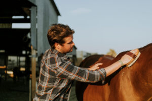 Person grooming a horse at a barn, practicing steady breath and mindful focus through touch and rhythm. This is a calming example of horse therapy in va, therapy with horses in va, and work with an equine therapist in virginia. 