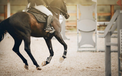 What a Bad Ride Can Teach You (If You Let It)