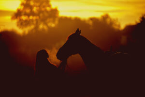 A person and horse stand in silhouette at sunset, creating a warm and emotional image of trust and connection. The scene captures the spirit of equine assisted therapy in Richmond, VA, equine therapy in Virginia, and the compassionate guidance of an equine therapist in Virginia. 