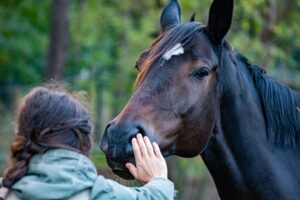A woman gently places her hand on the nose of a large dark horse, sharing a quiet moment of trust and connection in a wooded outdoor setting. This grounded, embodied experience of being truly met by an animal is one of the most meaningful aspects of equine assisted therapy in Richmond, VA. An equine sports therapist in Richmond, VA recognizes that these moments of connection are not incidental — they are often where the deepest therapeutic work begins. 