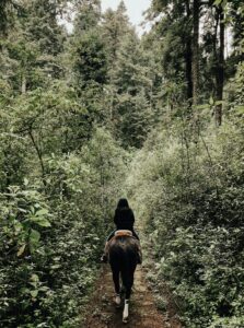 A rider moves quietly through a lush green forest on horseback, the path ahead winding through tall trees in a moment of stillness and solitude. This image reflects the kind of reflective, present-moment awareness that equine assisted therapy in Richmond, VA cultivates — learning to slow down, tune in, and trust the partnership beneath you. For those working with an equestrian therapist in New Kent, VA, moments like this can become powerful opportunities for insight and healing. 