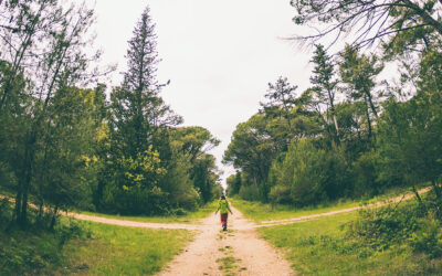 When the Past Shows Up Uninvited: The Long-Term Effects of Trauma on Life Transitions