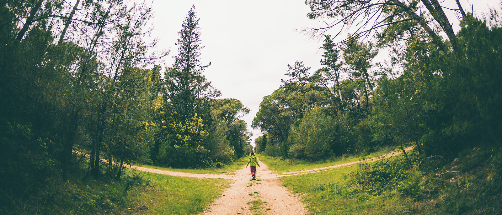 A person walks alone down a forested path that splits in two directions, capturing the uncertainty and possibility that comes with major life changes. For those navigating this kind of crossroads, working with a life transition therapist in Powhatan, VA can help make sense of the road ahead. This image reflects the heart of life transitions therapy in Virginia — finding your way forward even when the path isn't clear.