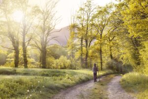 A person walks alone down a sunlit path winding through a lush, golden forest, embodying the renewed sense of direction and forward movement that becomes possible after EMDR intensives in Virginia. For those working with an EMDR therapist in Powhatan, VA or seeking an EMDR therapist in Richmond, VA, this image reflects the peace and clarity that concentrated, intentional healing can bring. 