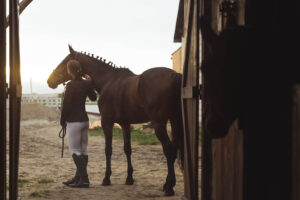 Woman bonding with her horse at the stable, reflecting the calm clients experience through EMDR intensives in Richmond, VA, an EMDR therapist in Powhatan, VA, and life transitions therapy in Virginia. 
