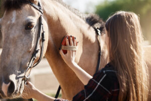 A woman brushes a horse's coat in the sunlight, building trust and connection, the kind of grounding work included in an intensive EMDR therapy in Goochland, VA session. Equine-assisted options like this are part of EMDR intensives in Virginia, including EMDR intensives in Richmond, VA. 