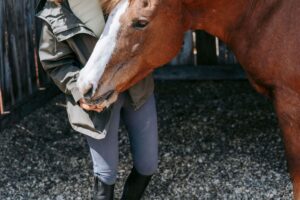 A person in riding clothes stands close to a chestnut horse, gently holding its muzzle in a calm, connected moment. Equine-assisted work like this is part of narcissism therapy in Powhatan, VA and narcissism therapy in Richmond, VA. It supports therapy for children of narcissistic parents by helping the body relearn safety and trust. 